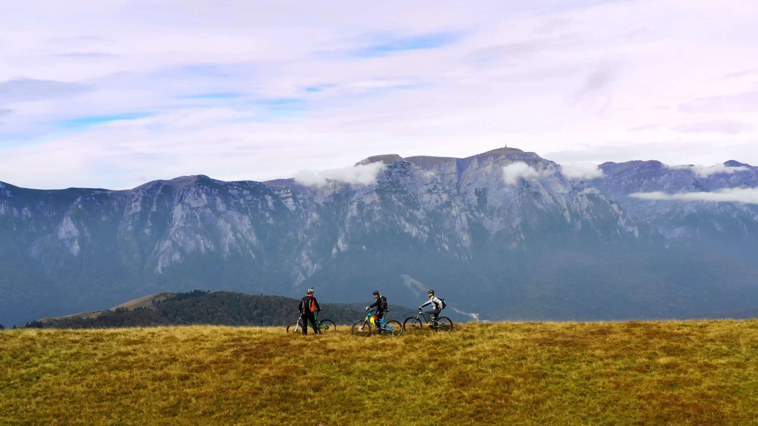 Pădure de brad pe traseu cu bicicleta din Sinaia