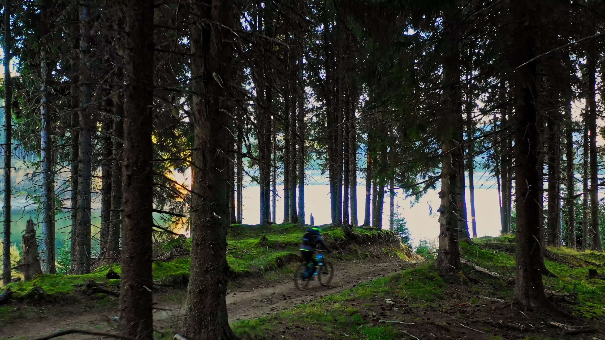Vedere panoramică spre vârfurile Bucegilor din Sinaia