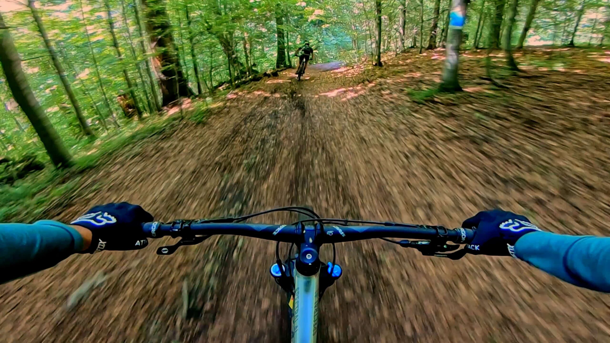 Bicicletă pe drum forestier la poalele Bucegilor